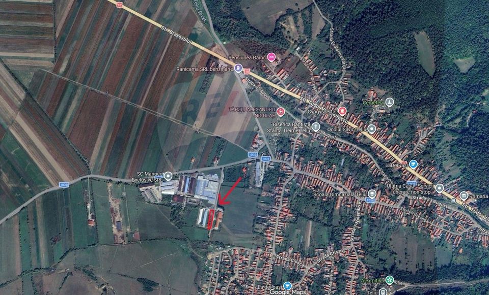 Teren industrial 1.729 mp I Demolare + construcție hală Teliu