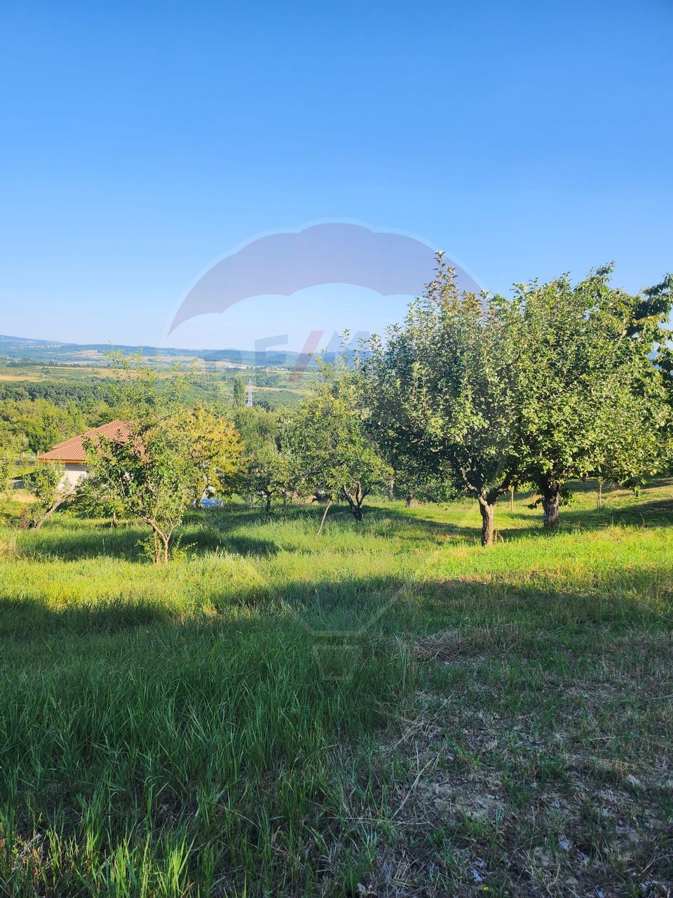 Land 2,000sqm Grosi / Strada Dumbravei