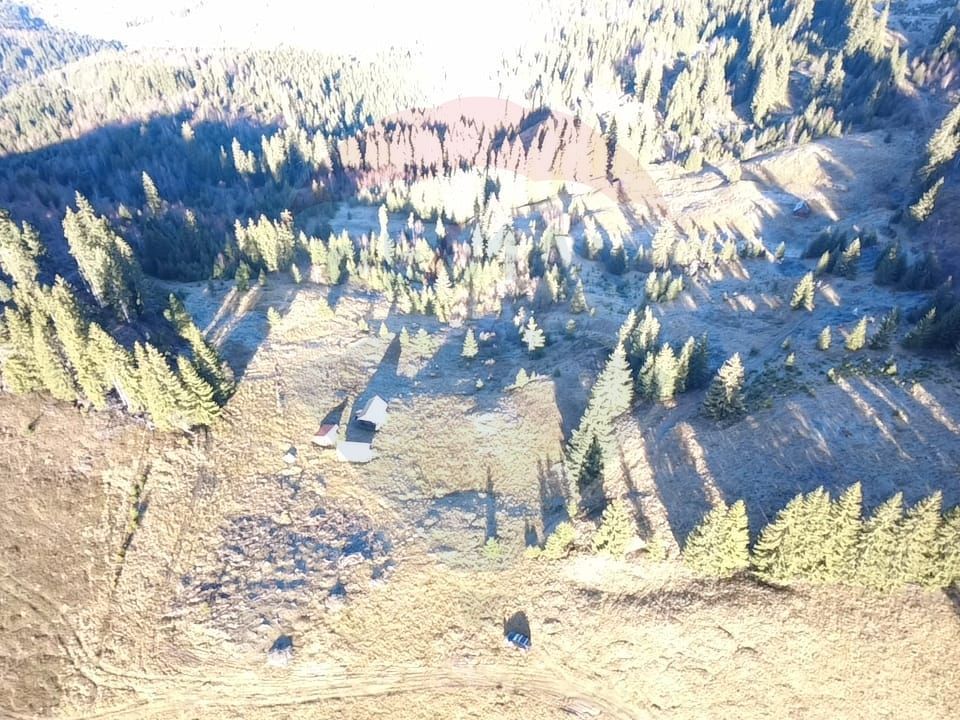 Teren 31,461mp Panaci / Prelungirea Ialovita