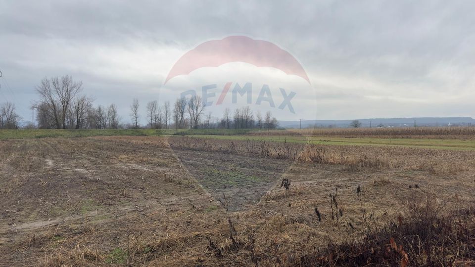 Land 2,200sqm Coruia / Strada Principală