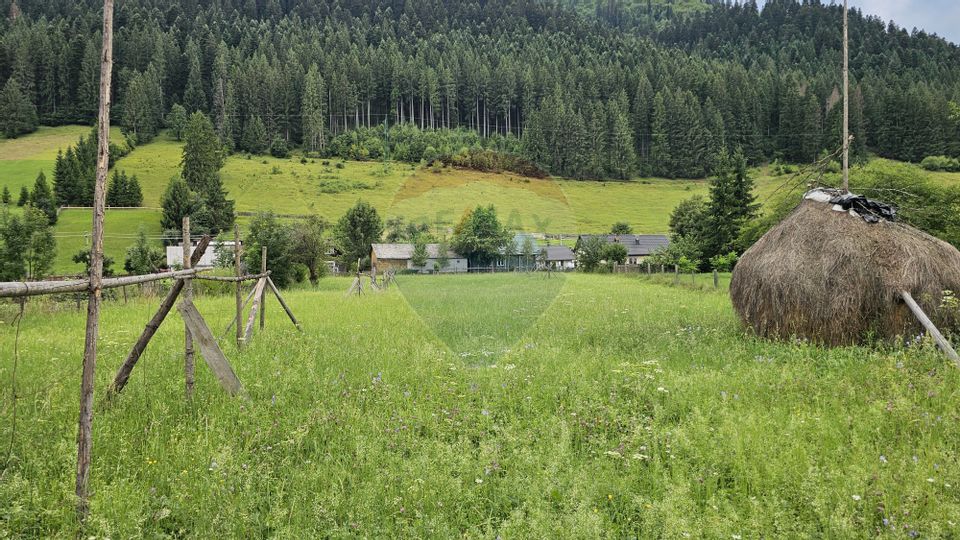 Casa 225 mp, teren intravilan 4822 mp C. Moldovenesc, Suceava