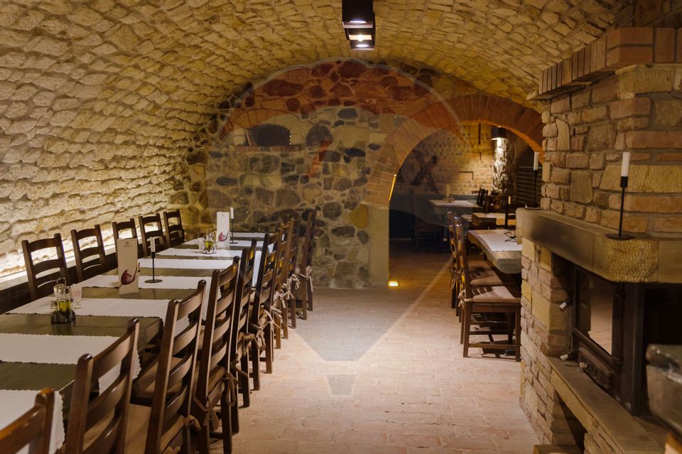 11 room Hotel / Pension for sale, Ultracentral area