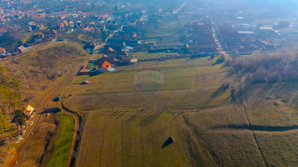 Land 5,155sqm Codlea / Strada Mihai Eminescu