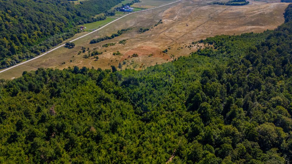 Land 6,000sqm Crizbav / Strada principala