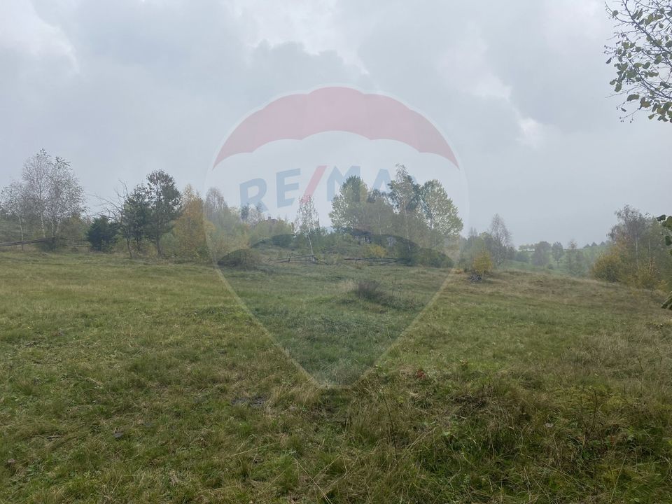 Land 8,119sqm Calatele / Strada Calatele Padure