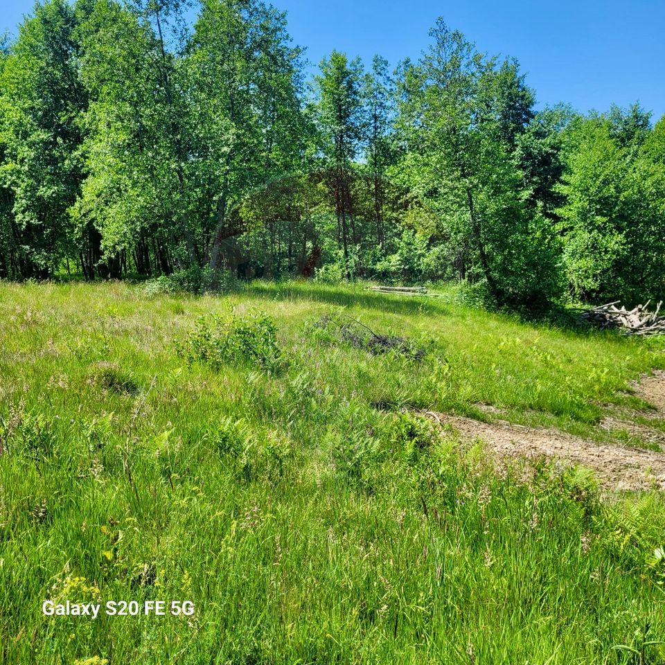 Land 6,725sqm Hoteni / Calea Valea mare