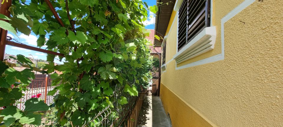 3 room House / Villa for sale, Sud area