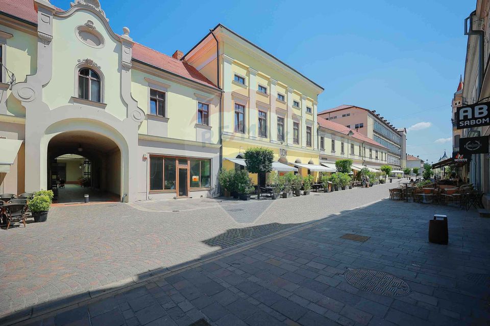 De vânzare — Spațiu comercial parter 409 mp, Vasile Alecsandri