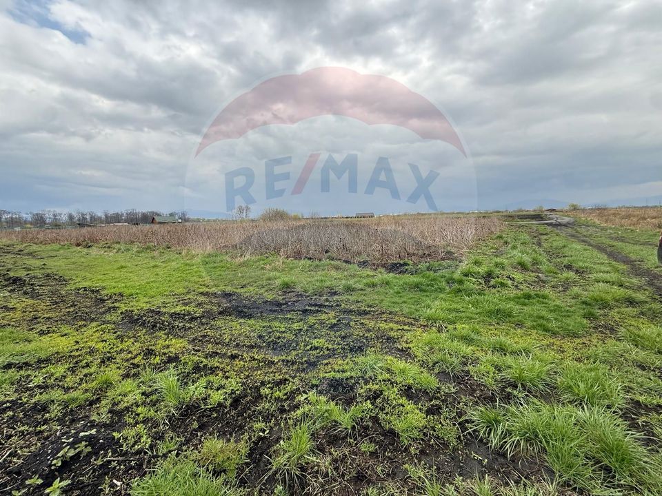 Land 45,000sqm Brasov / DN harman-brasov