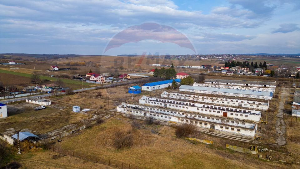 Teren  intravilan in sat Zapodia, com. Traian, jud. Bacău, 39.600mp,