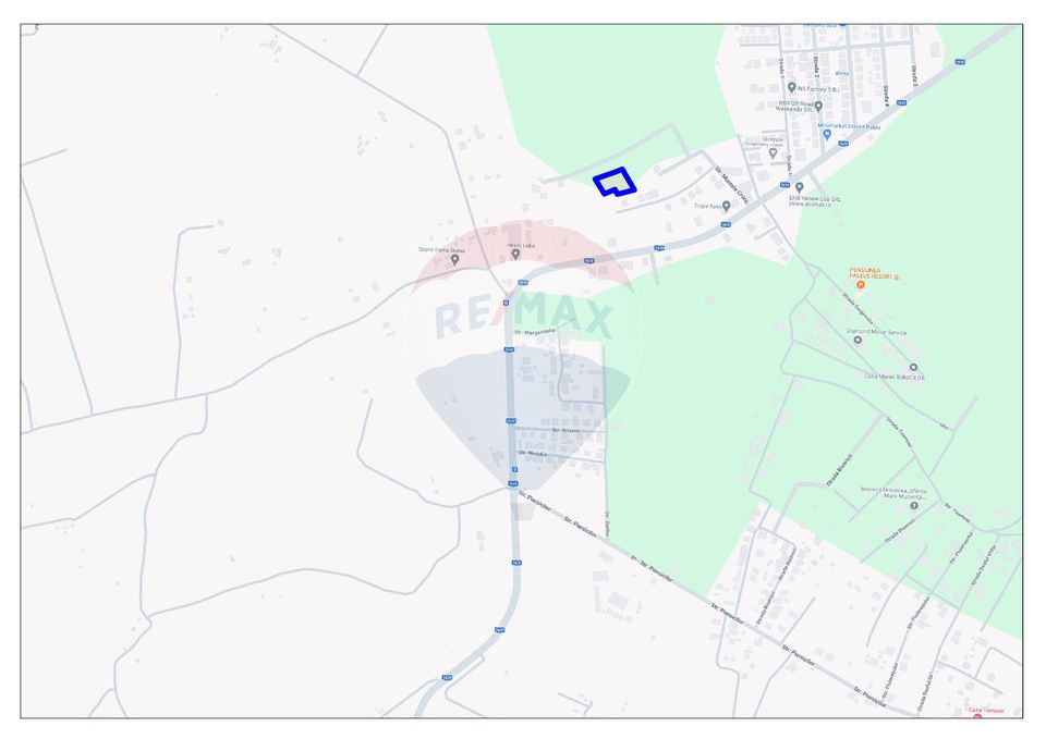Teren în Paleu, 2292 mp, acces și utilități în proximitate, de vânzare