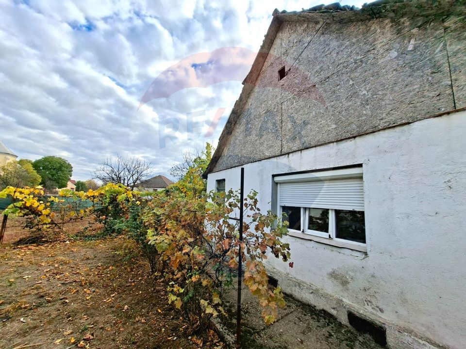 Casa veche cu teren 929 mp- oportunitate in Vladimirescu- comision 0%