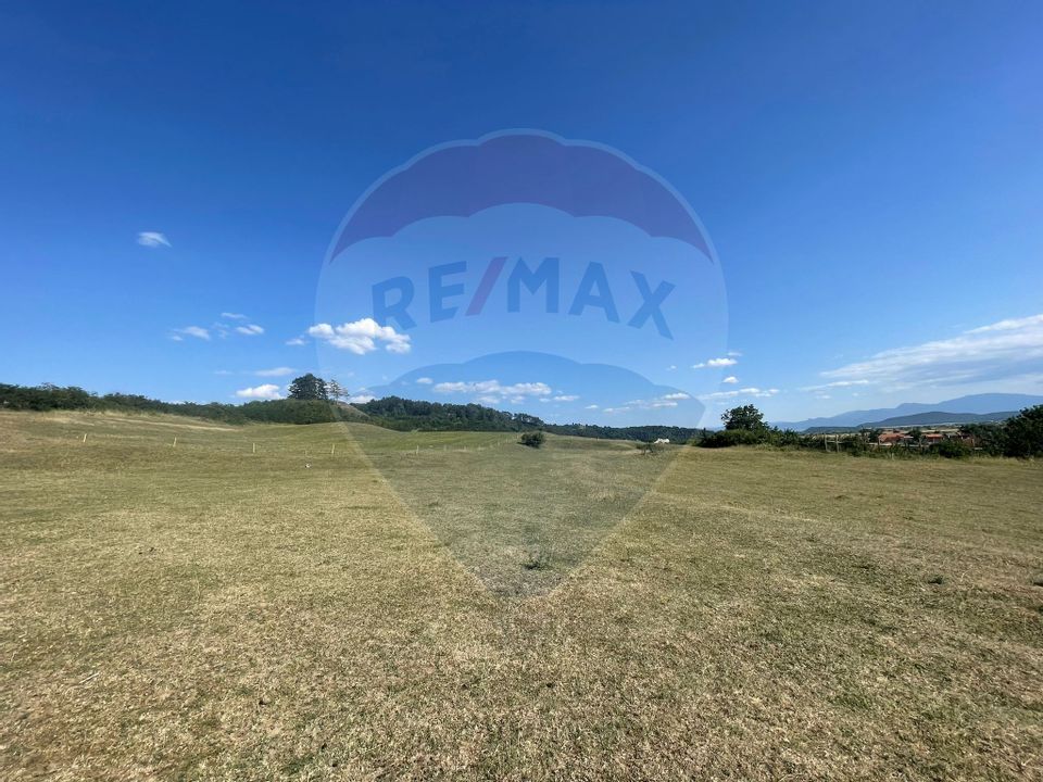 Land 36,000sqm Araci / Strada Principala