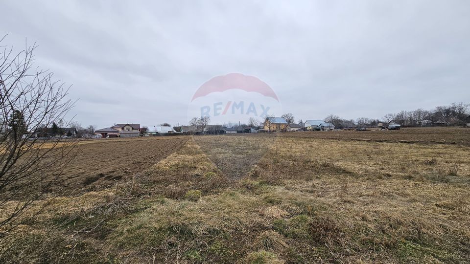 Casă / Vilă cu 12 camere, teren intravilan de 2869mp în Siminicea, SV