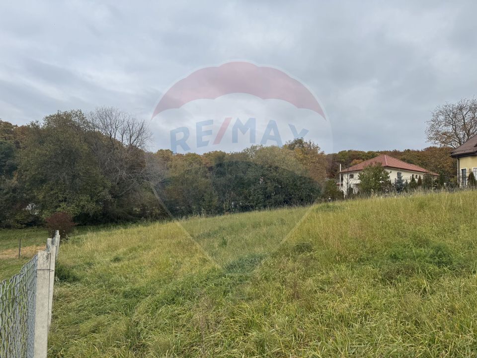 Teren de vanzare în Faget 1542 mp cu panorama