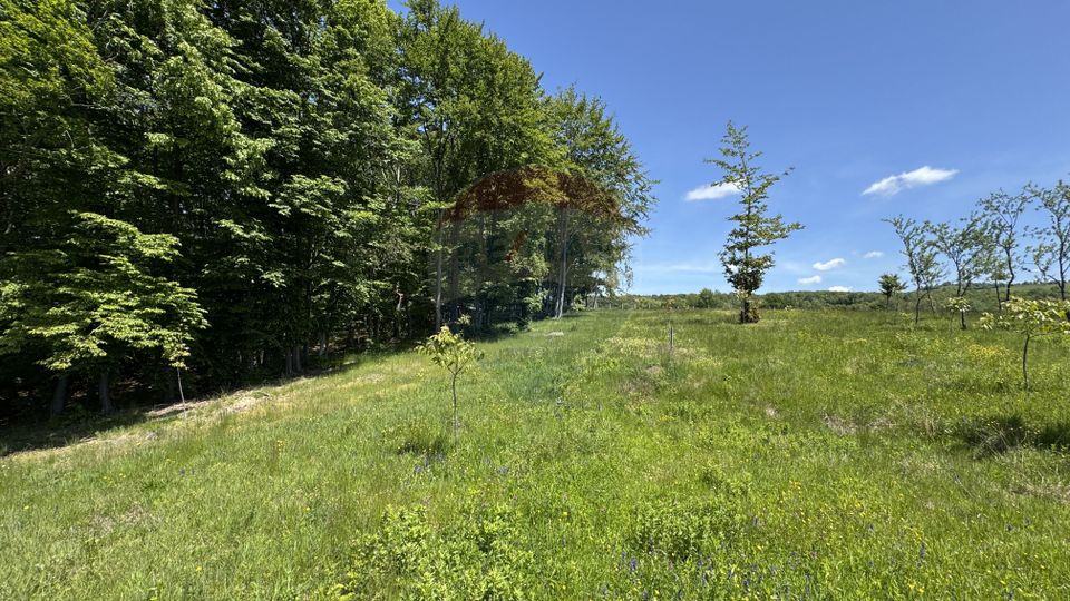 Teren de vanzare SE ACCEPTA SCHIMB CU PROPRIETATI