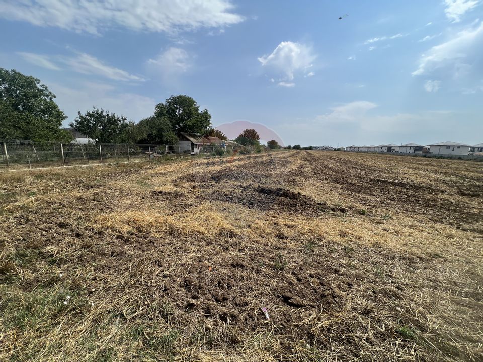 Land 5,085sqm Dragomiresti-Deal / Strada Crizantemelor