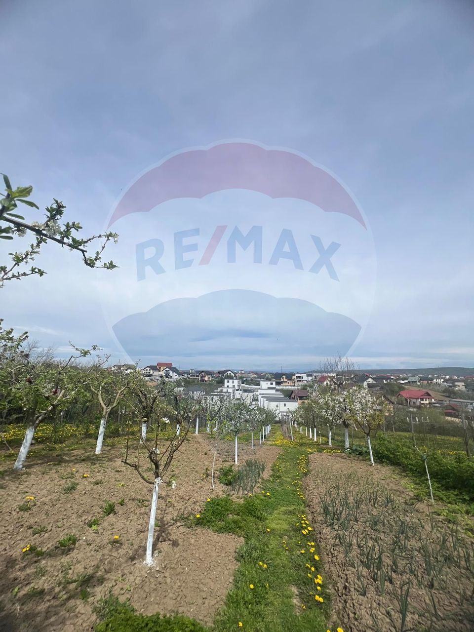 De vânzare 2 Corpuri de Casa si Teren 1388 mp in Geamăna, Bradu