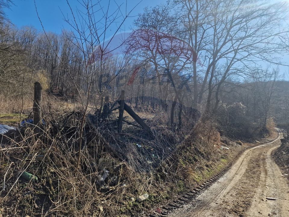 Land 4,985sqm Sascut / None