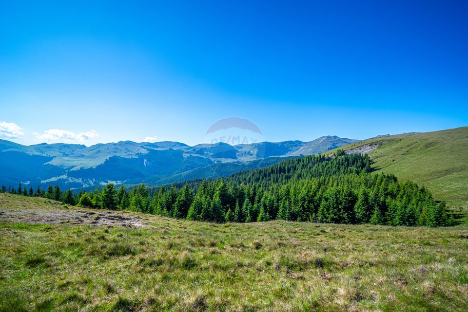 Teren intravilan Transbucegi / Oportunitate de dezvoltare Transbucegi