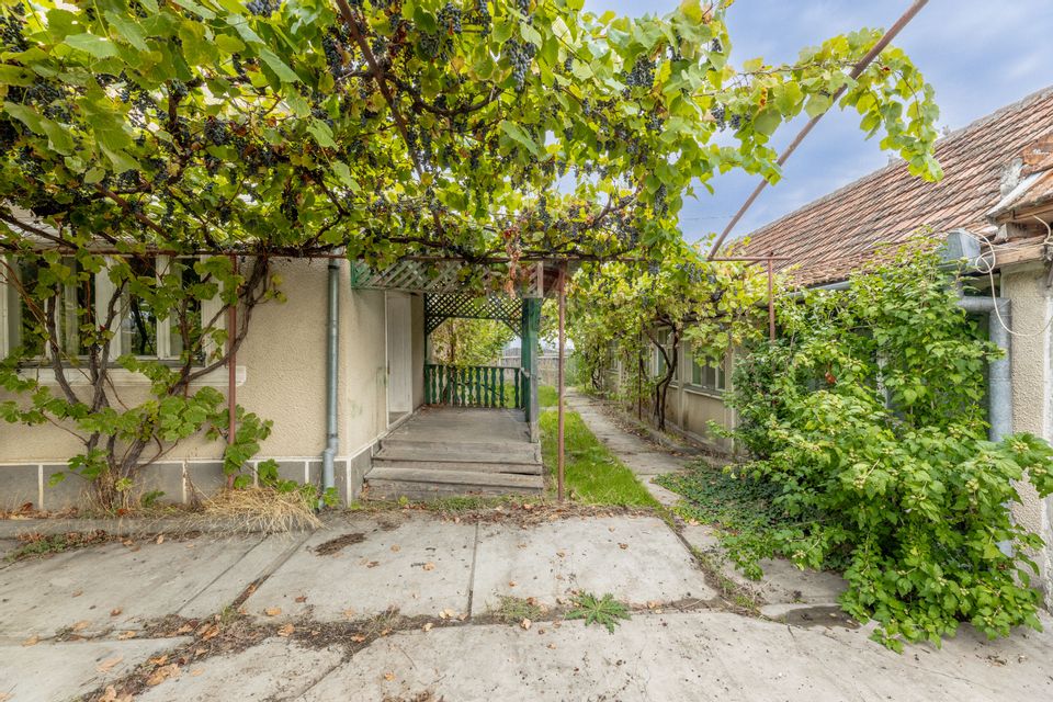 Casă spatioasa in Pancota ideala pentru doua familii