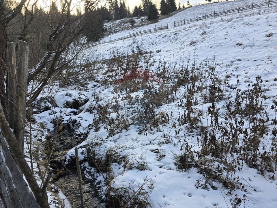 Teren 2,833mp Vatra Dornei / None