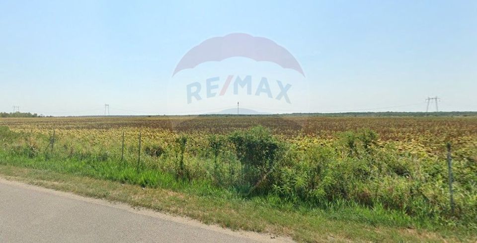 Land 295,413sqm Floresti-Stoenesti / None