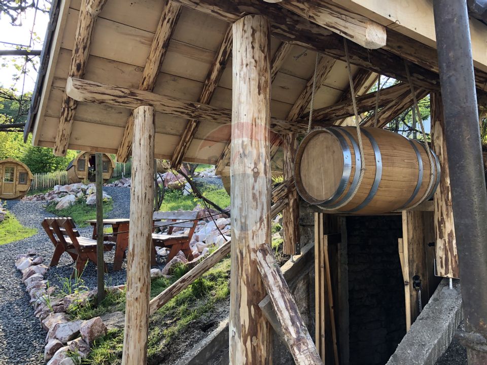 Pensiune cu 15 unități de cazare în Mediaș