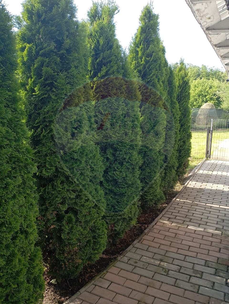 7 room House / Villa for sale