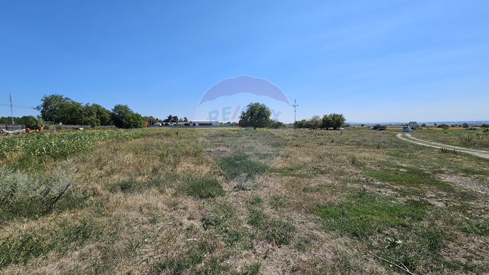 Land 52,115sqm Hutani / DJ DJ291