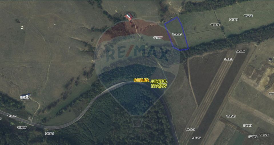 Teren 10,000mp Codlea / DN 1