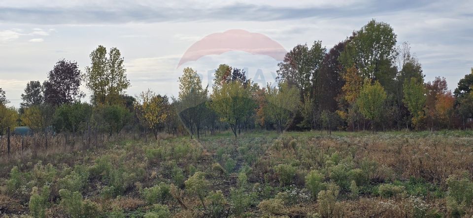 Teren generos cu potential în comuna Silindia, judetul Arad