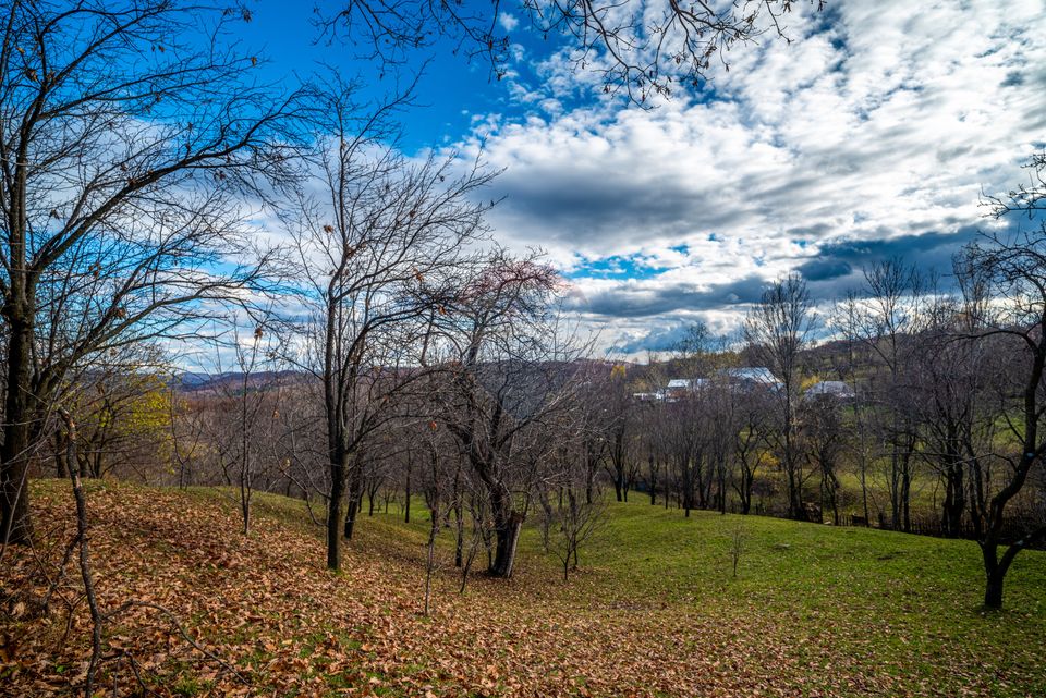 Urban land 4384 sq m – Talea commune, Prahova county