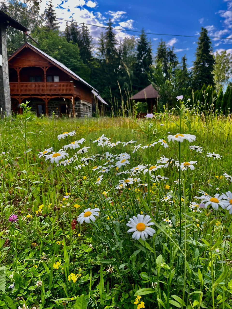 6 room Hotel / Pension for sale