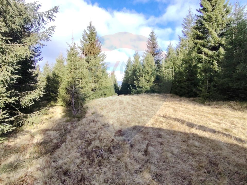 Land 17,895sqm Dorna-Arini / Prelungirea Cozănești