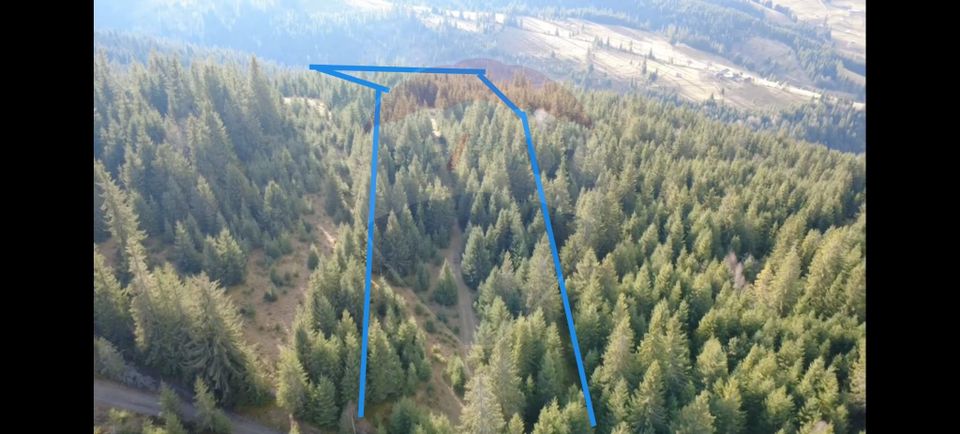 Teren 17,895mp Dorna-Arini / Prelungirea Cozănești