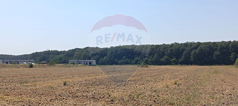Teren 650mp Ghermanesti / Strada Milcov
