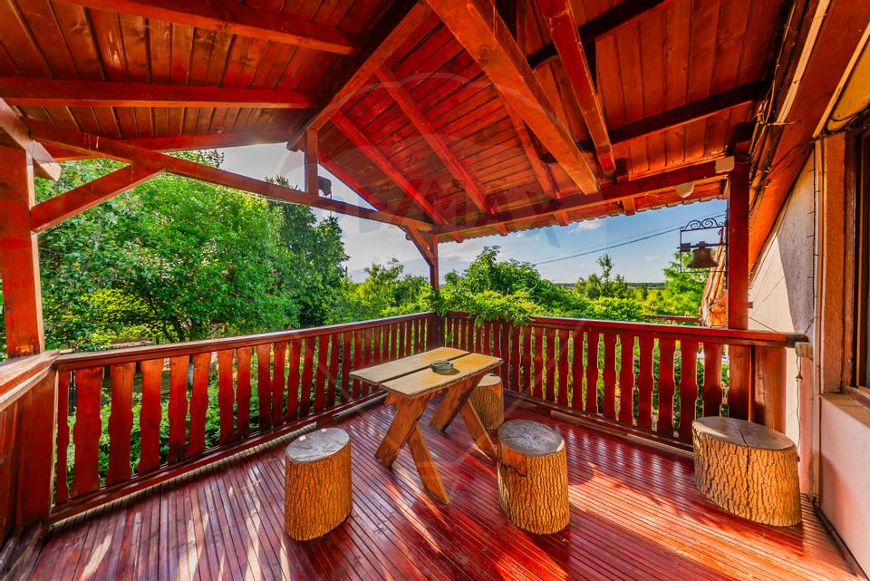 Land 4,000sqm Zadareni / Drumul Drumul principal