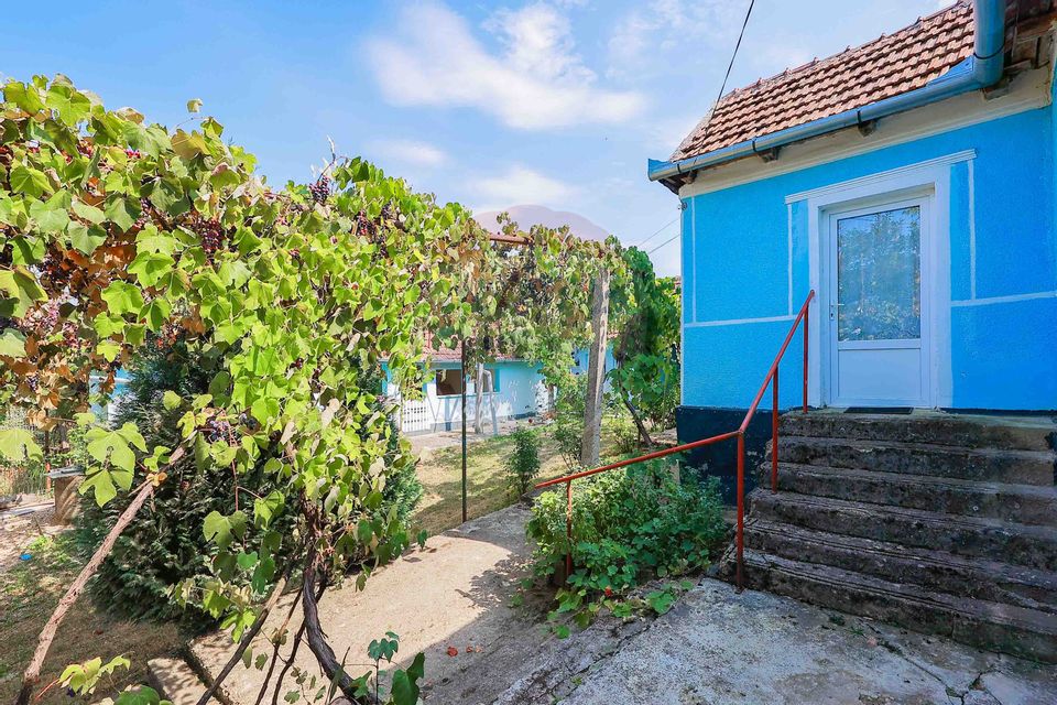 3 room House / Villa for sale