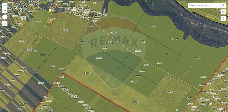 Land 100,000sqm Adunatii-Copaceni / None