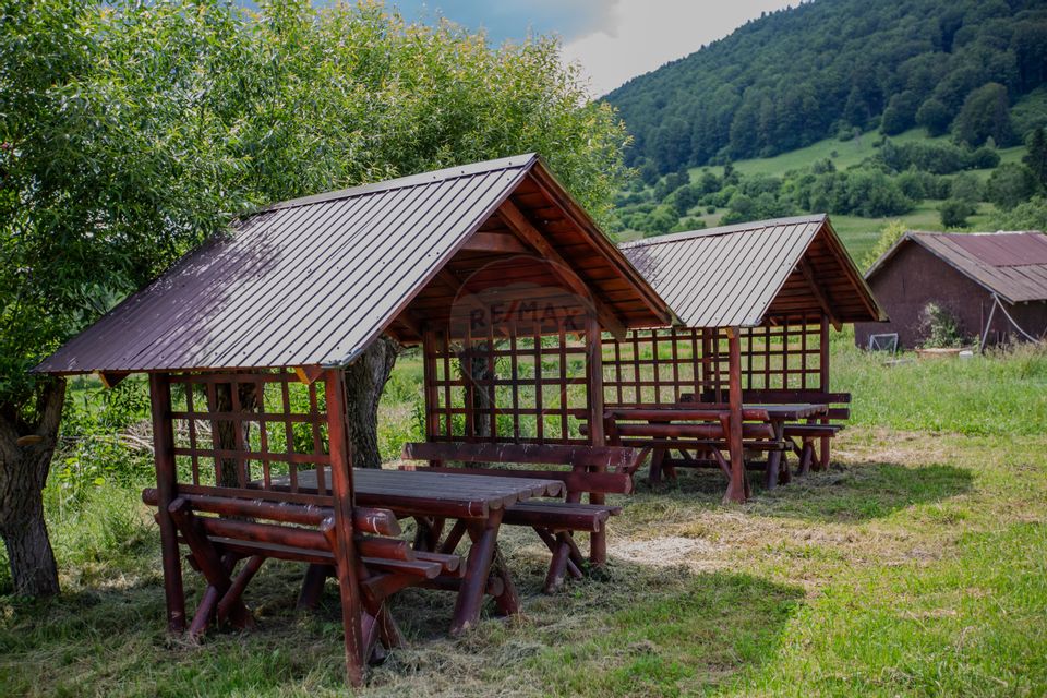 Hotel / Pensiune cu 10 camere de vânzare/Vama Buzaului