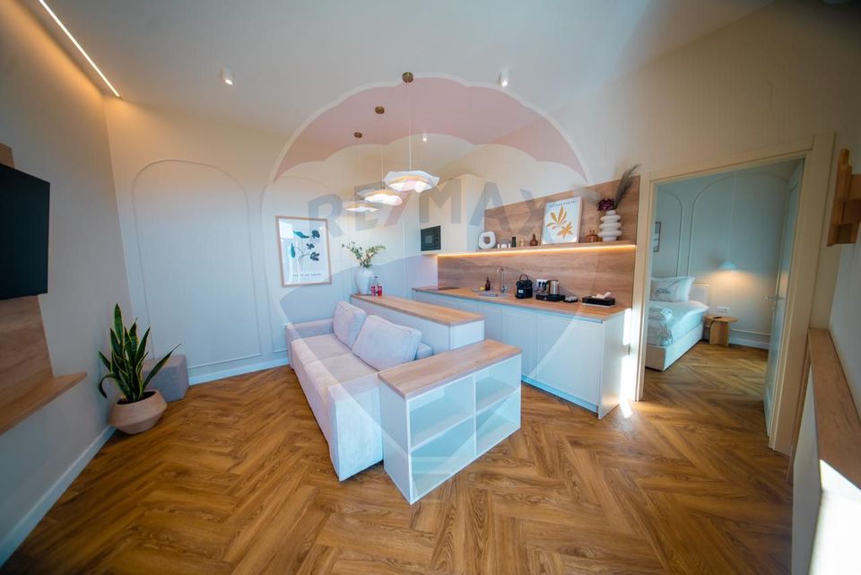 14 room Hotel / Pension for sale, Ultracentral area