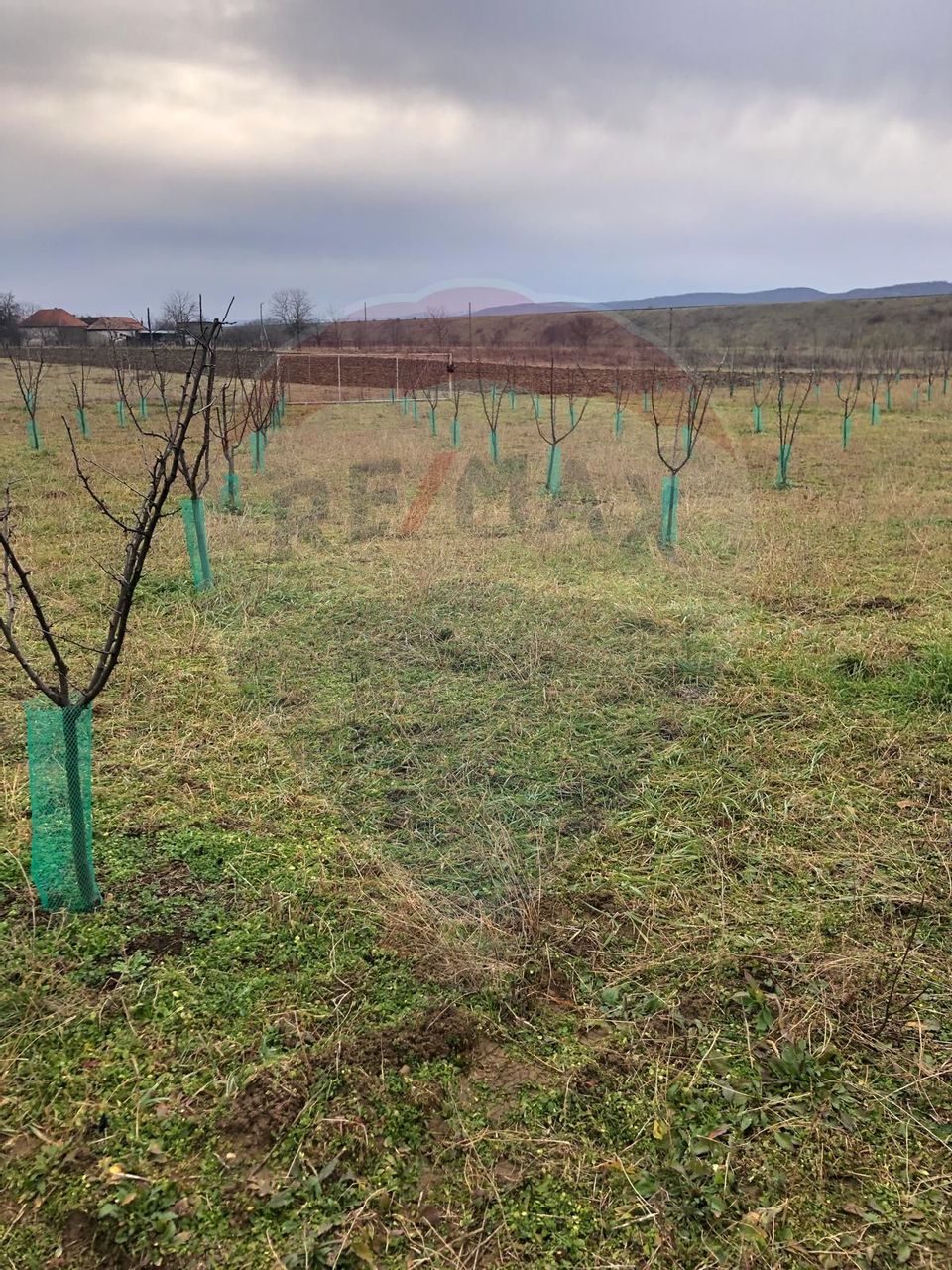 Land 6,000sqm Lugasu de Jos / Strada principala