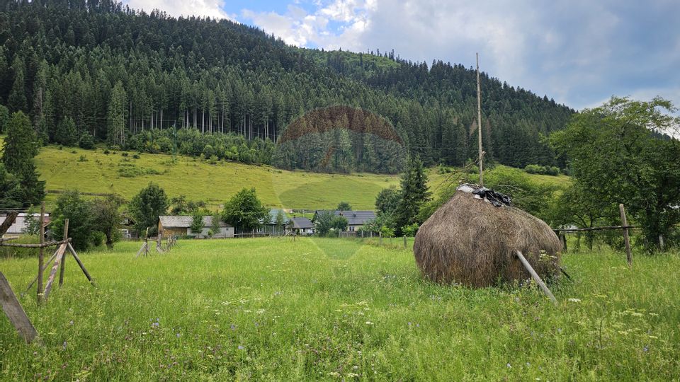 Casa 225 mp, teren intravilan 4822 mp C. Moldovenesc, Suceava