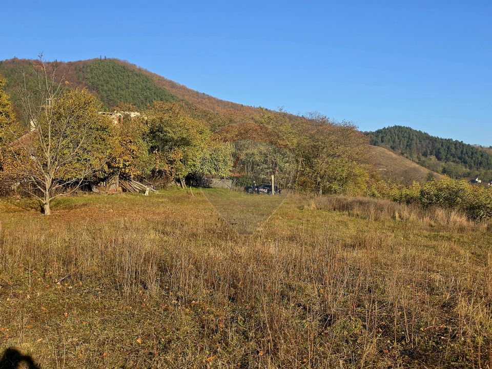 Land 6,874sqm Alexandru cel Bun / Strada plopusor