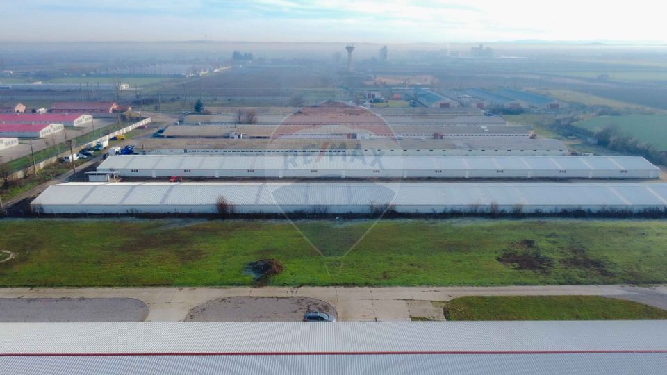 De vânzare – 2 hale industriale, 5.050 mp utili, Palota