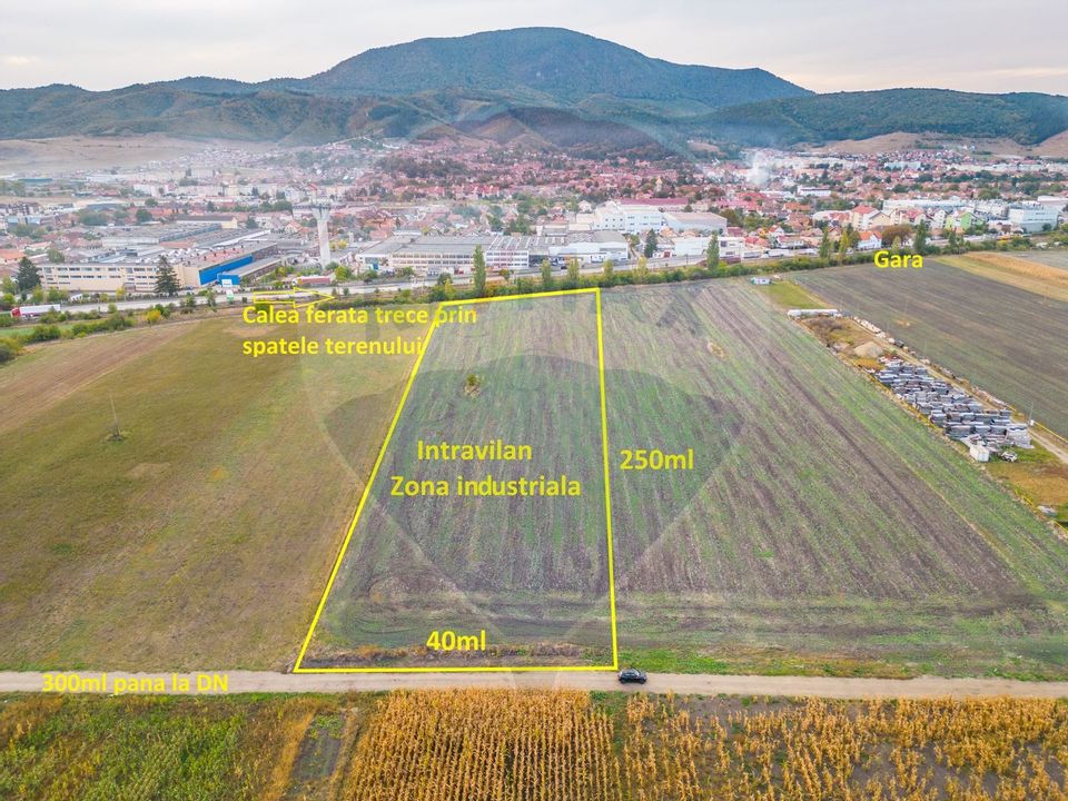 Land 10,000sqm Codlea / Drumul Drum secundar