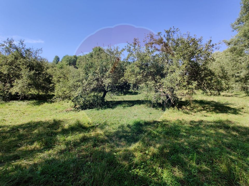 Land 3,718sqm Remetea Chioarului / Strada Principală