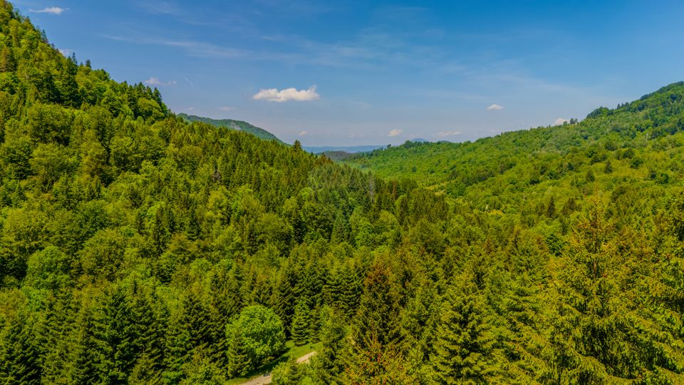 Teren extravlan 14,400mp Paraul Rece / Strada 3 brazi