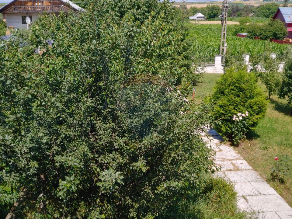 Casă / Vilă de lux cu 5 camere de vânzare în Vadu Moldovei, Suceava